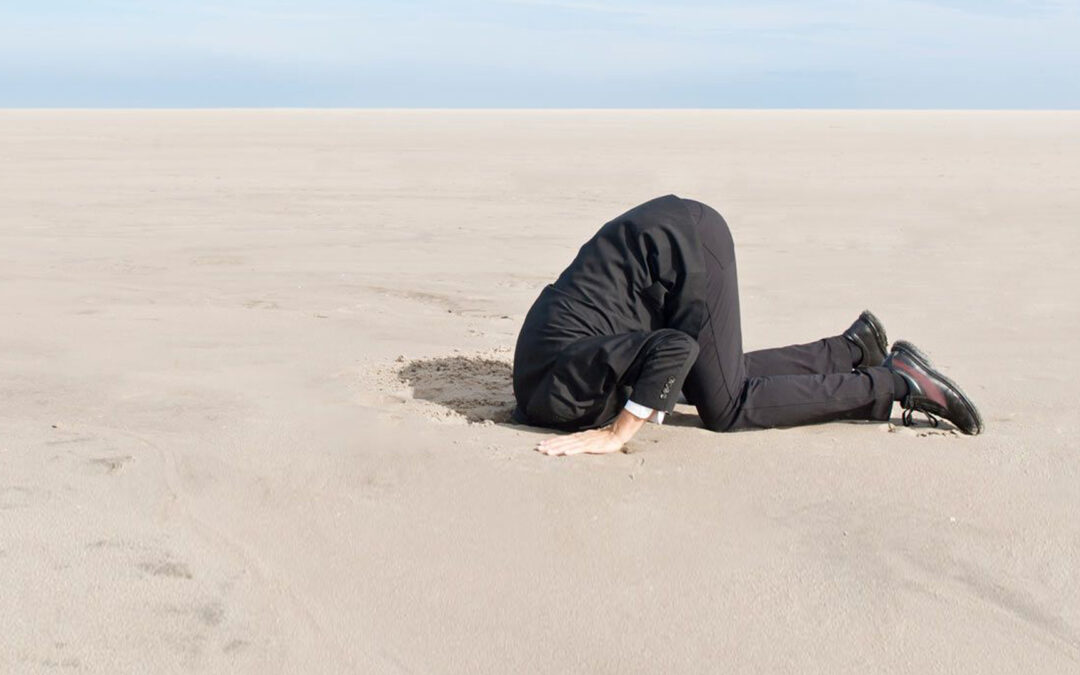 4 PHASEN DES WISSENS