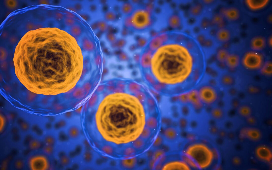 DER UNSICHTBARE KILLER